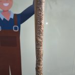 Ambrovník styraxový (Liquidambar Styraciflua) - výška 250-300 cm, obvod kmeňa 6/8 cm, kont. C30L - NA KMIENKU